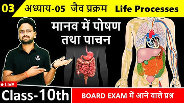 मानव में पोषण तथा पाचन Nutrition and digestion in humans || अ-05 जैव प्रक्रम Life Processes Class 10