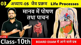 मानव में पोषण तथा पाचन Nutrition and digestion in humans || अ-05 जैव प्रक्रम Life Processes Class 10