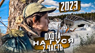 Охота на гуся 2023/Молодой напарник в деле/Часть 2