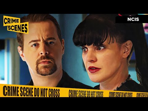 Pauley Perrette Announces NCIS Departure