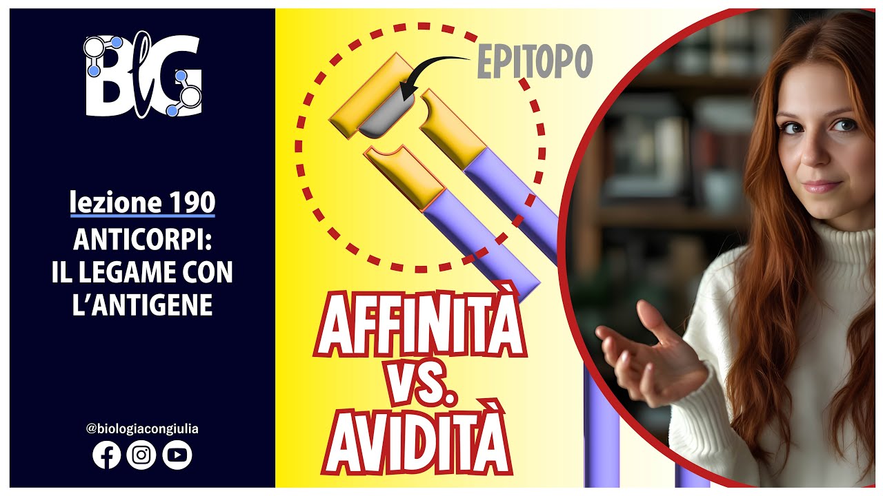 ANTICORPI: il LEGAME con L'ANTIGENE