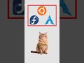 Linux, explained by cats. #cat #code #linux #foss #arch