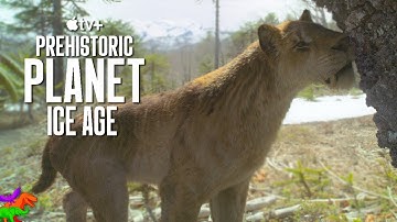 "Saber Tooth Ache" | Prehistoric Planet: Ice Age | Official Clip