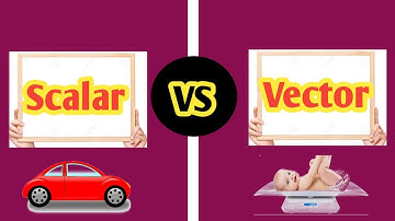 Vector Vs. Scalar|Daily Life Applications in Urdu/Hindi