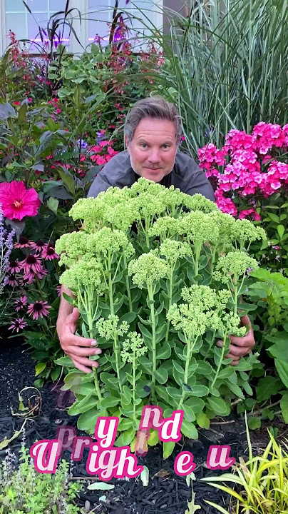 Some of our Favorite Perennials for Fresh Cut Flower Bouquets #gardening #garden