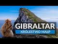 Gibraltar  krlestwo map  zwiedzanie gibraltaru w jeden dzie  atrakcje skay gibraltarskiej