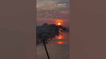 سورة النور الايه 28-30