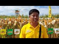 DEKALB 6919S VT DOUBLE PRO COMMERCIAL DEMO at Amulung West, Cagayan