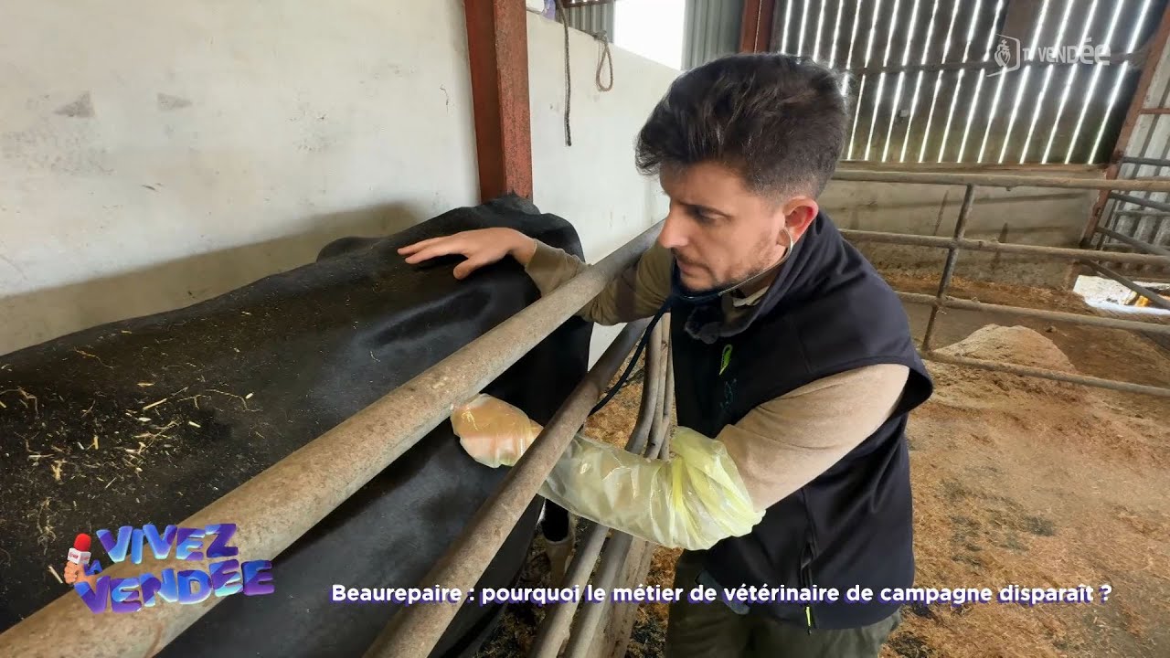 Vivez la Vendée : Pourquoi le métier de vétérinaire de campagne disparaît ?