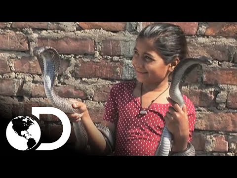 Video: ¿Se inventaron las serpientes y las escaleras en la India?