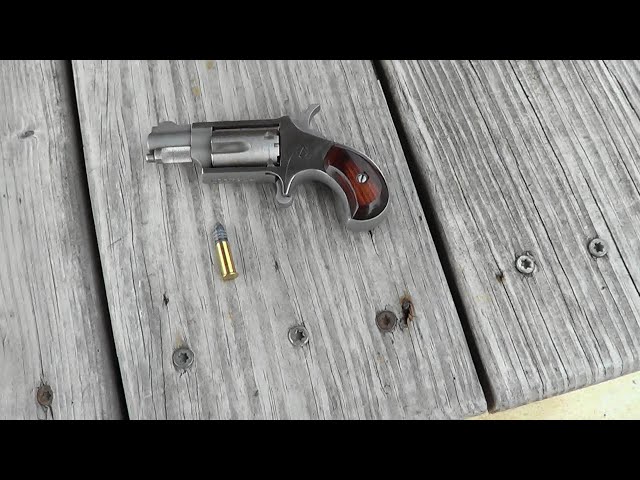 NAA Mini-Revolver 22LR - YouTube