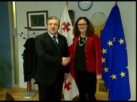 შეხვედრა ევროკომისარ სესილია მალმსტრომთან