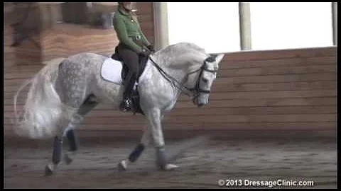 DressageClinic.c...  Presents  Leslie Reid Riding ...