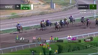 Vidéo de la course PMU PREMIO RAYO DE SOL