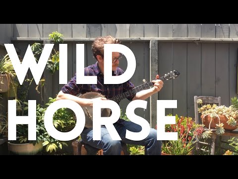 Clinton Davis - The Wild Horse