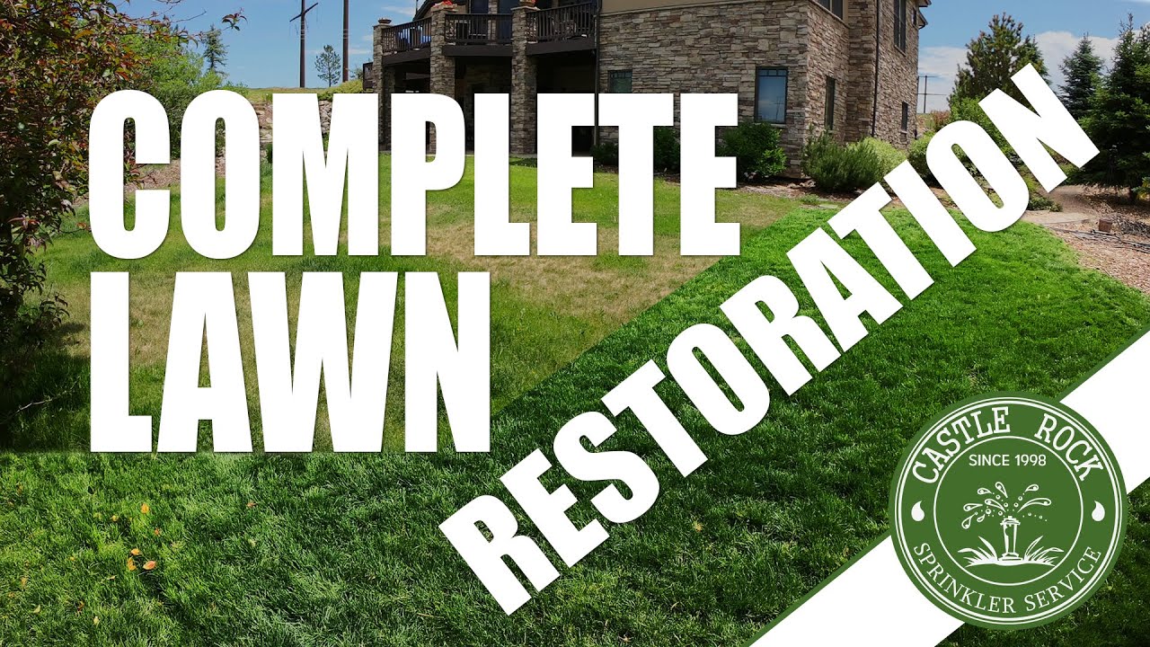 Complete Lawn Restoration YouTube