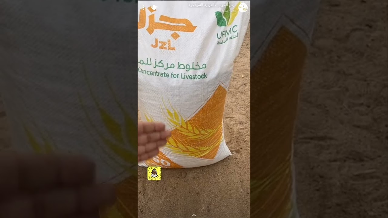لا تقع فى هذا الخطأأأأأأأأ قد تخسر الكثيير اذا ما استخدمت الطريقة الصحيحة هذي فى التغذية