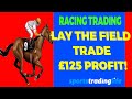 Horse Racing Trading Strategy Lay The Field [£125 Profit Demo!]