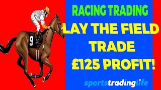 Horse Racing Trading Strategy Lay The Field [£125 Profit Demo!] screenshot 3