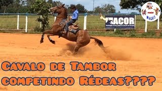 Cavalo De Tambor Competindo Rédeas?????? Irmãos Machs