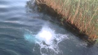 Uçmak Istiyorsan Ziyad Ve Maher Obaid