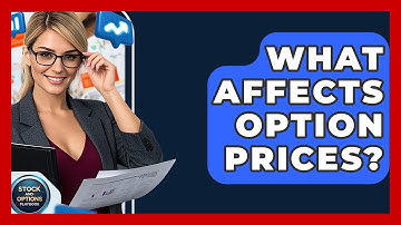 What Affects Option Prices? - Stock and Options Playbook