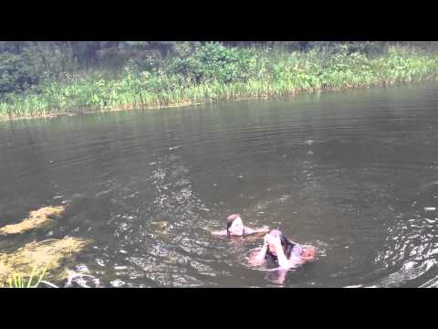 Ð”Ð²Ðµ Ð´ÑƒÑ€Ñ‹, Ð¿Ð»Ð°Ð²Ð°ÑŽÑ‚ Ð² Ð¾Ð·ÐµÑ€Ðµ Ð² Ð¾Ð´ÐµÐ¶Ð´Ðµ!