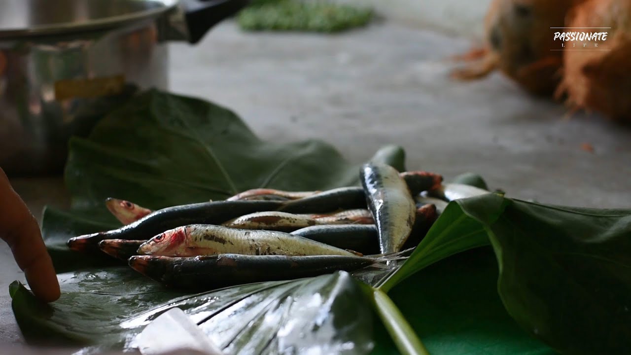 Herring Fish Curry හුරුල්ලෝ මාළු කරිය YouTube