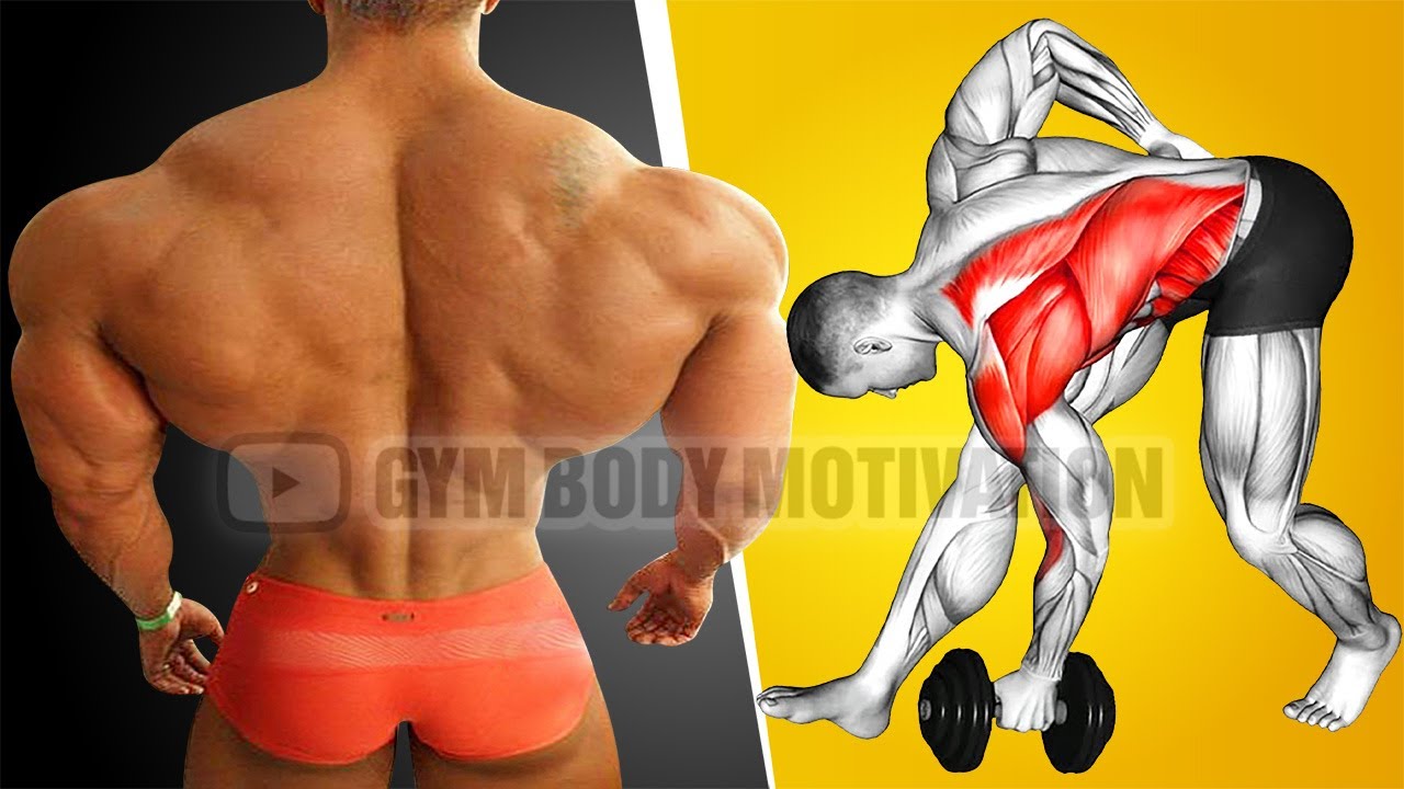 The Best Science Based Back Workout for a BIGGER Back 