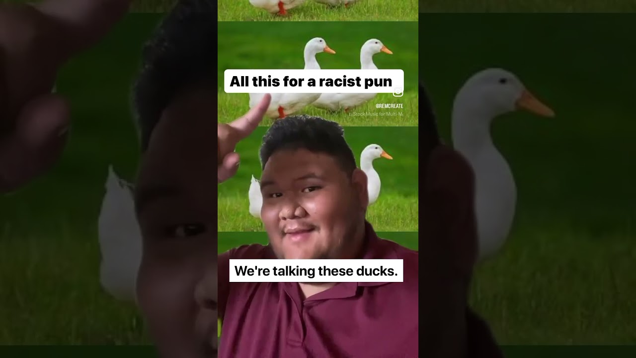 Daily dose of wholesome racism 