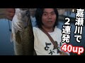 バス釣り　佐賀嘉瀬川おかっぱりで40up２連発　Bass fishing in Japan