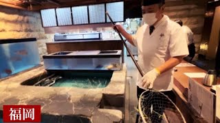 【福岡の寿司】300人前⁉の料理を流れるようにこなすチームワーク力が凄い！『雑魚屋』カサゴ、活イカ、活鯖/Japanese sushi restaurant with delicious squid