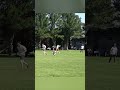 Watch this goal from USA Ultimate College Regionals
