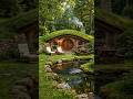 Building A Legit Hobbit Hole From Scratch! 🪵🏡day(46) #diy #hobbit #undergroundhouse #offgrid #bunker