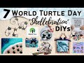 7 *Must See* World Turtle Day "Shellebration" DIYs || Dollar Tree High End Coastal Nautical Decor