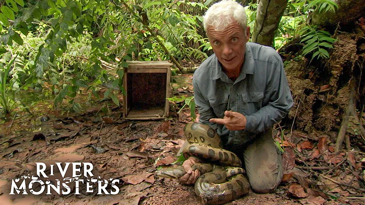 Jeremy Wade's SCARIEST Encounters with DEADLY ANIMALS | River Monsters (Part 2)