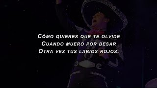 Cómo Quieres Que Te Olvide - PEDRO FERNÁNDEZ (Letra)