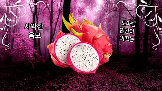 Eating and Reviewing a Dragon Fruit @AquaDavie
