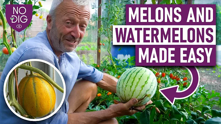 A Guide to Growing Melons and Watermelons: Proven Techniques by Charles Dowding - DayDayNews