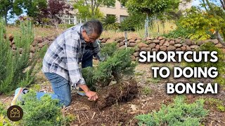 Why I Used to Kill Bonsai Trees | Q&A by Bonsai Heirloom 12,029 views 2 months ago 13 minutes, 12 seconds