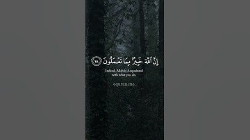 يا أيها الذين آمنوا اتقوا الله ولتنظر نفس ما قدمت لغد    تلاوة للشيخ #علي جابر