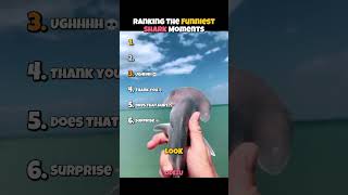 Ranking the funniest shark moments ☠️😭
