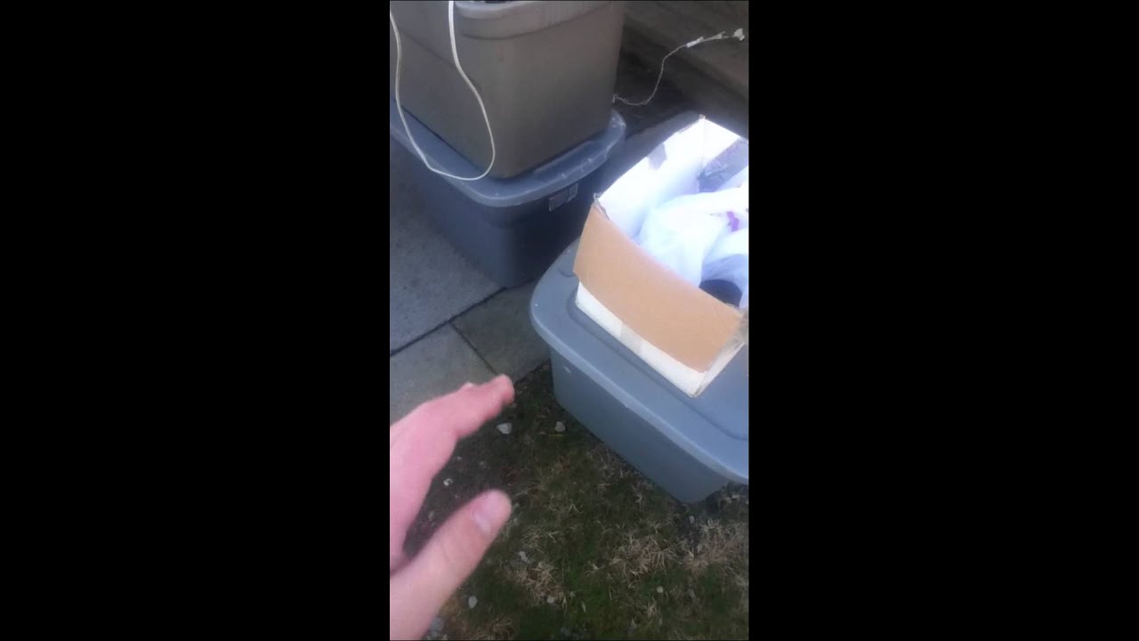camera iphone 8 plus apk all my 2013 christmas inflatables out