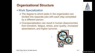 Organizational Structure | Functions of Management | Part 1