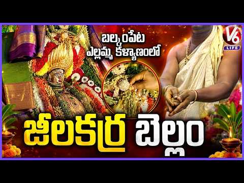 Jeelakarra Bellam In Balkampet Yellamma Kalyanam 2026 | V6 Life