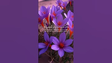 Surah Al-Imran/سورة آل عمران (ayat  173 to 175)