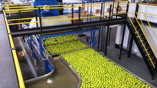 Packman - Apple Packing