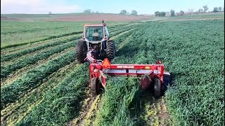 Starting in on hay season! Triticale and alfalfa getting cut and chopped!