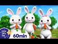 Bunnies Bunnies More Nursery Rhymes And Kids Songs Little Baby Bum