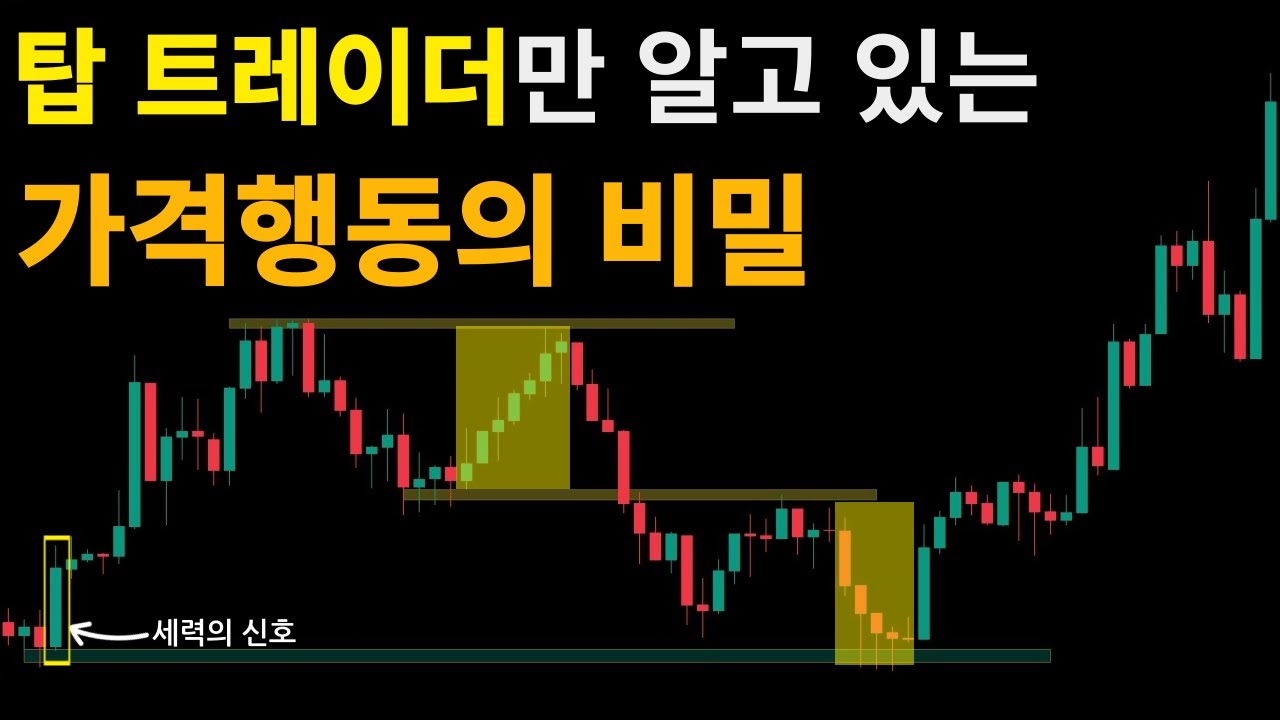프라이스 액션만 알아도 평생 돈 벌 수 있습니다 [Price Action만 사용해 수백억 이상을 번 해외 트레이더들의 비밀 매매법  공개합니다]